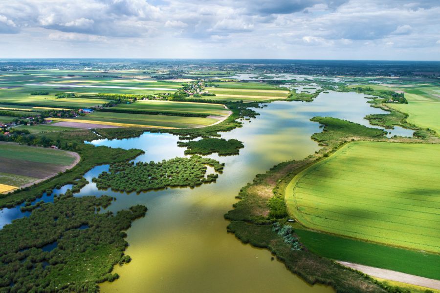 biodiversity