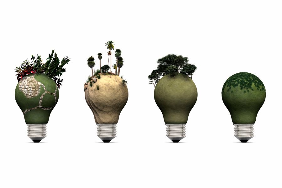 Natural Capital