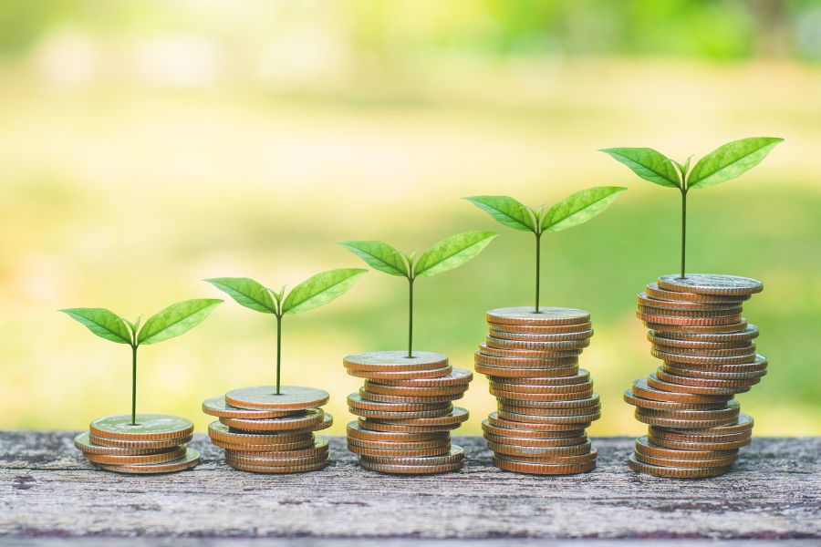 ESG AND PRIVATE EQUITY